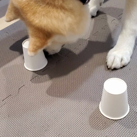 ヒデキ大好き     　　　2年前のブログからの～の画像