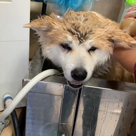 ヒデキ大好き     　　　タイヤ交換終わった～の画像