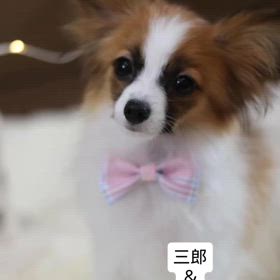 2024/11/05の画像