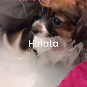 2024/09/23の画像