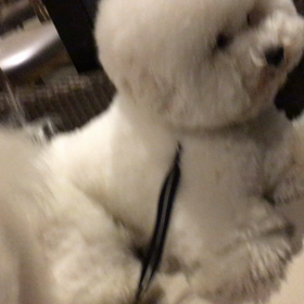 これは‥どういう意味なのかな〜☆の画像