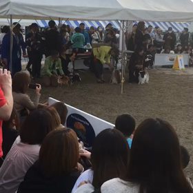 動画頂きました〜☆の画像