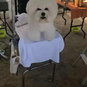 おやつの要求〜☆の画像