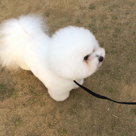 嵐‥とりあえず普通に歩いた〜☆の画像