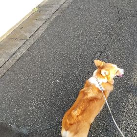 浸かりっぱなしの画像