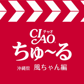 娘が♪の画像