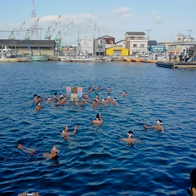 寒中水泳動画編の画像