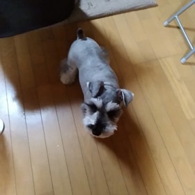 お母さん、何してるの？の画像