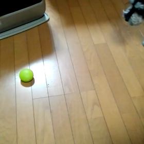 オモチャ取って～の画像