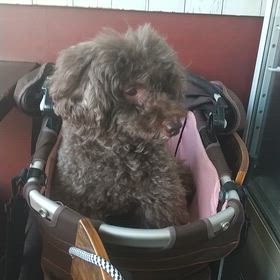 おあずかりの画像