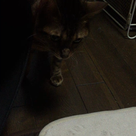 焦らされるとイラつきます。の画像