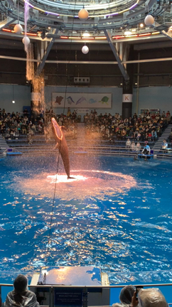 品川AQUA PARC♡映画♡月島もんじゃ♡の記事動画