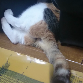ツンデレの画像