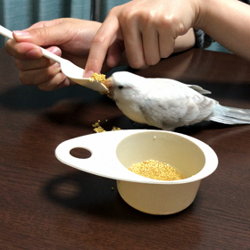ごはんの画像