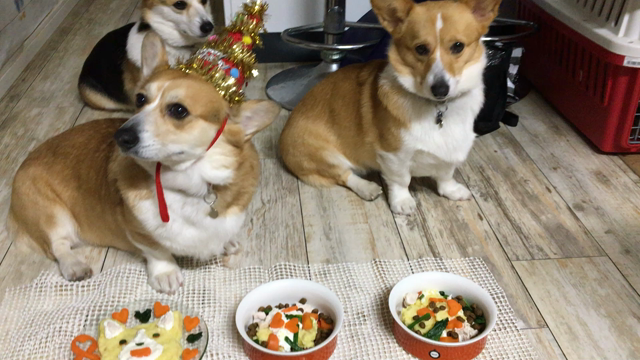 るぅ〜 8歳のお誕生日♪(*^^)o∀*∀o(^^*)♪の記事動画