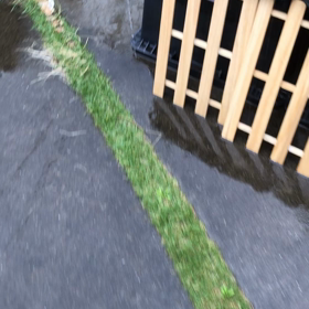容器に近づくと…の画像