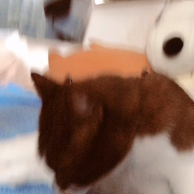 休みすぎ！の画像