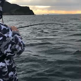 またまた沼島石鯛釣りの画像