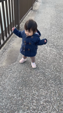 お散歩の記事動画