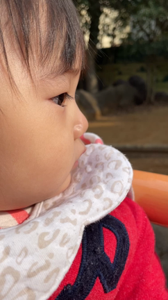 動物園へ´-の記事動画