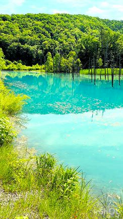 ㉛行くかどうか迷った青い池【ストップオーバーの北海道旅行】の記事動画