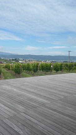 ㉕あれもこれも欲しくなるカンパーナ六花亭【ストップオーバーの北海道旅行】の記事動画