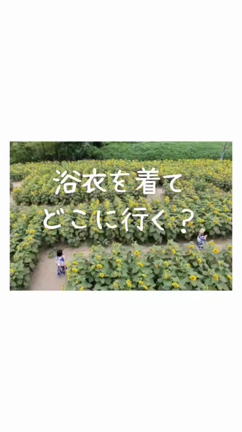 浴衣を着てどこに行く？の記事動画
