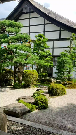 西教寺の風鈴参道通り抜け&美味しいラーメン屋さんへの記事動画
