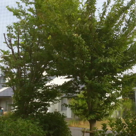 も うすぐの画像