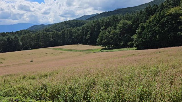 何となく長野旅③の記事動画