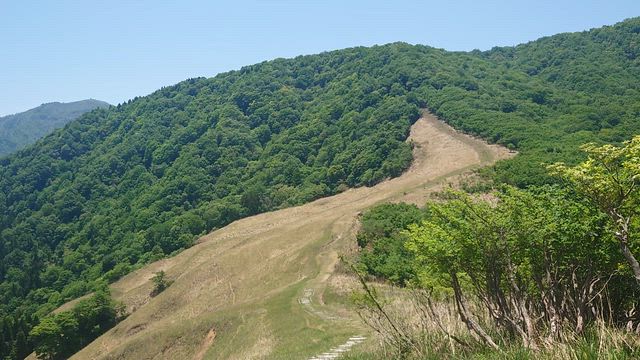 SUKIARABAぶんまわしの記事動画