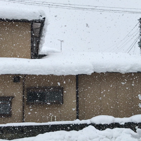 新潟帰省中の画像