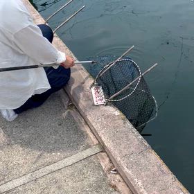 6/13 有松フィッシュガーデン19kg 2hの画像