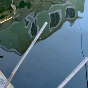 8/15 AFGナイター　21匹！の画像