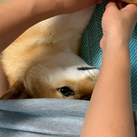 柔らか〜くなる時♡の画像