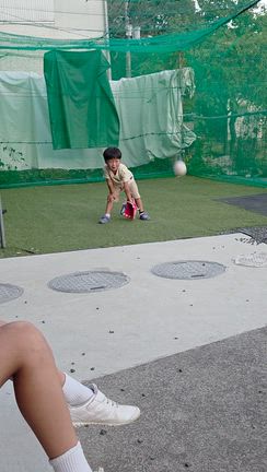 ⚾️の記事動画