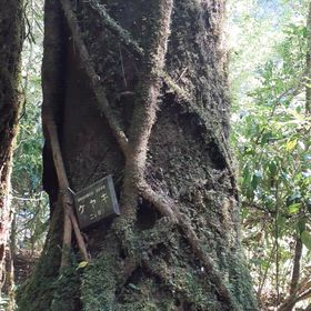 通院の画像
