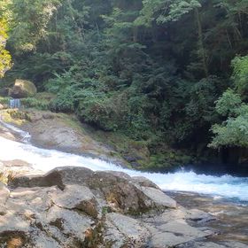 吐き気の画像