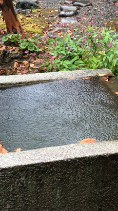 紅葉を見に②(京都　南禅寺)の記事動画