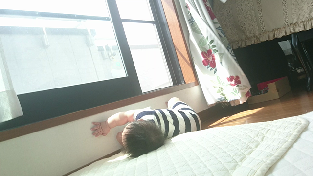 新しい遊びの記事動画