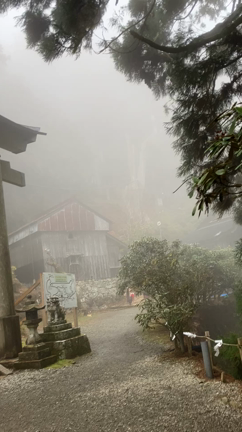 #開運日にしたいことの記事動画