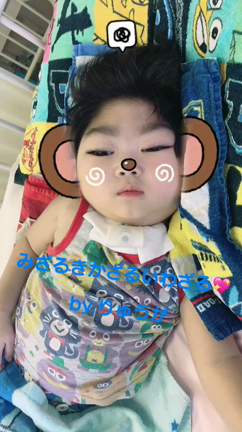 すっかりもう秋。。。の記事動画