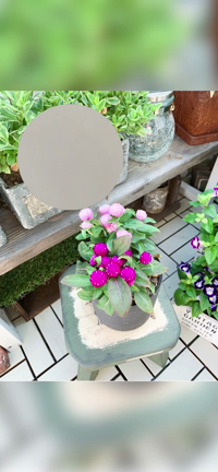 花をアップにする方法　〜編集編！〜の記事動画
