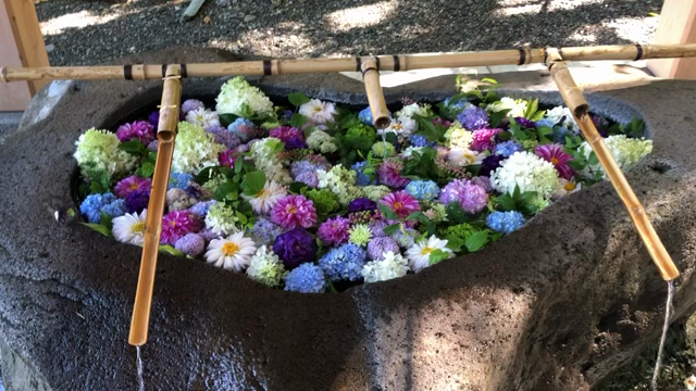神社祭りと〝ハレ〟の記事動画