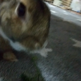７才の画像