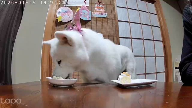 すっごく寒いけど幸せ便りと甘い物パワーもらいましたの記事動画