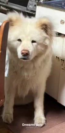 ちょっと特別気分♪の記事動画