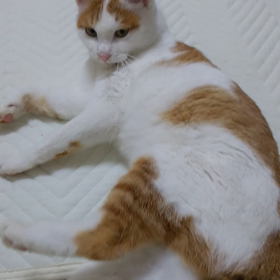 今日のおちびちゃんの画像
