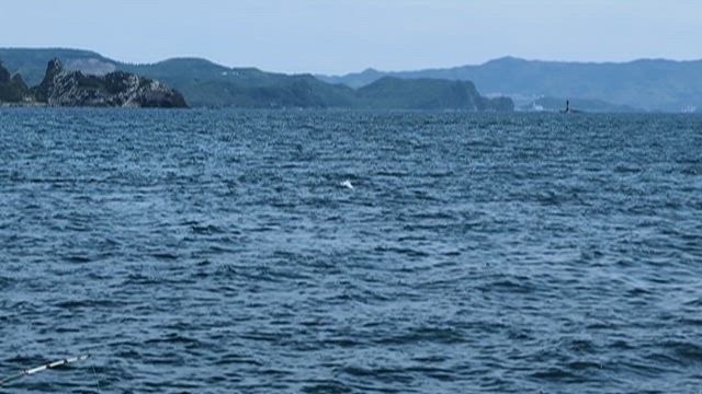 2026年5月9日　長崎釣行 能瀬本島の記事動画