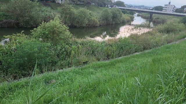 ８月は出費が重なりました～＼(_ _)の記事動画